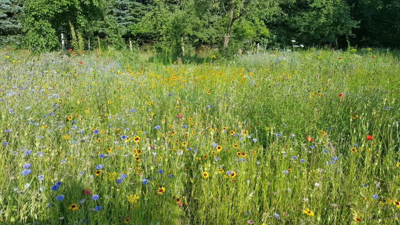 Storchenhof Leilighet Schmogrow Eksteriør bilde