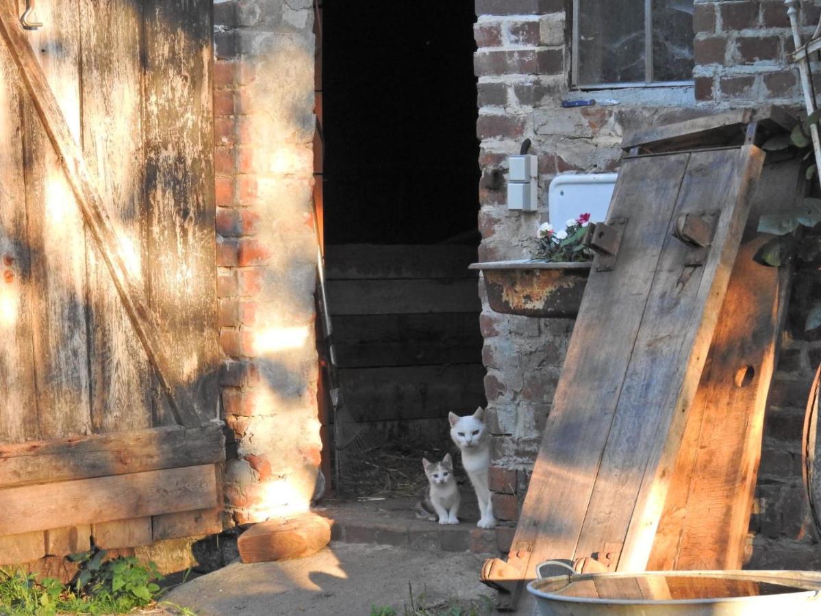 Storchenhof Leilighet Schmogrow Eksteriør bilde